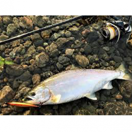 Без имени-81.jpg